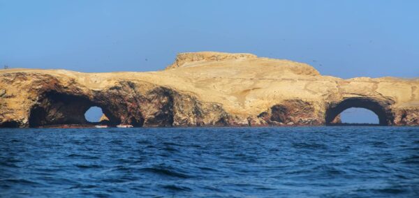 Islas Ballestas El Paraíso Marino de Perú