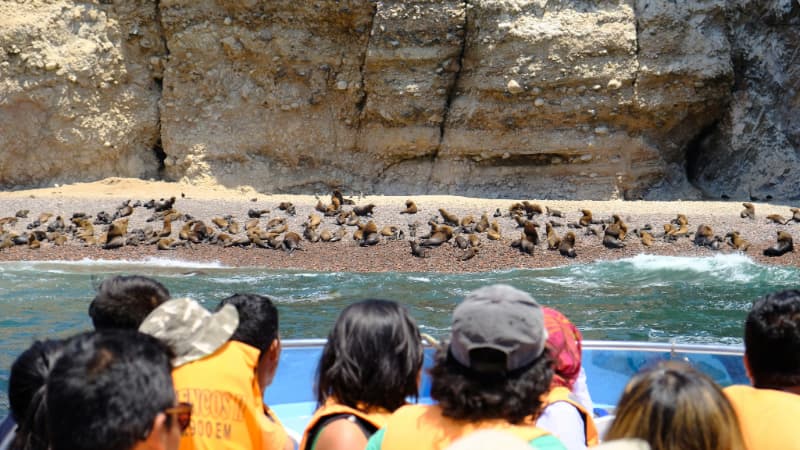 Tour por las Islas Ballestas