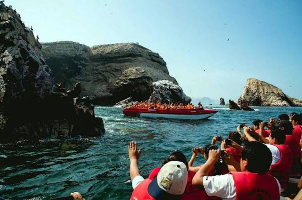 Paseo en bote por las Islas Ballestas con avistamiento de fauna marina