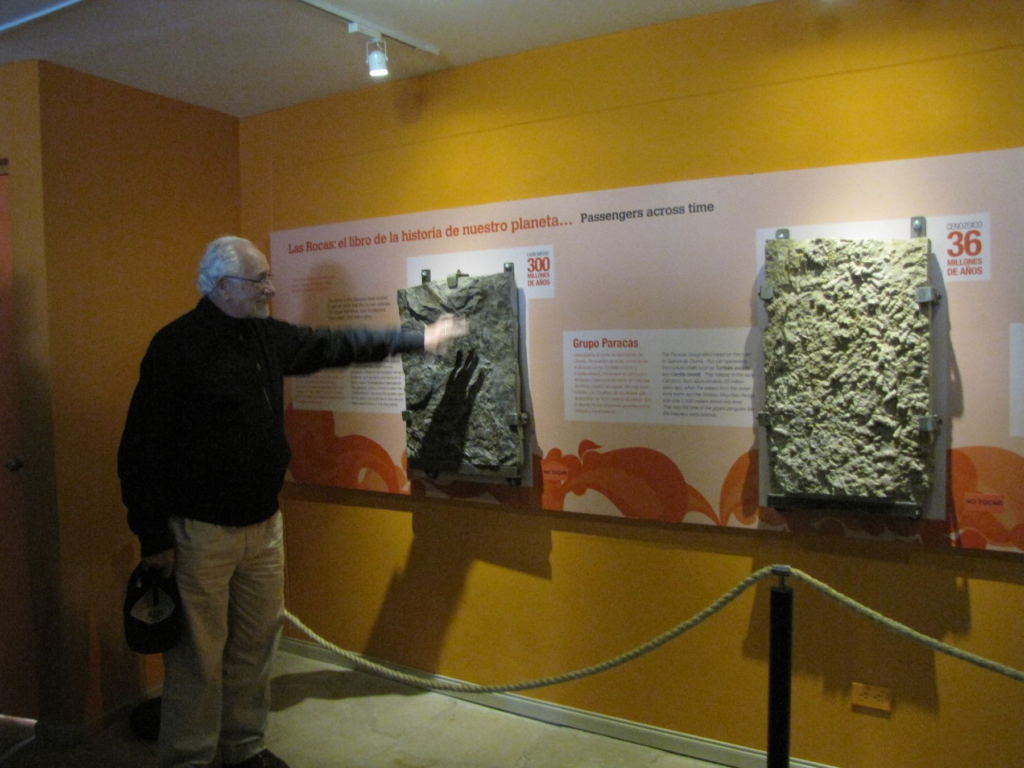 Centro de Interpretación de la Reserva Nacional de Paracas, con información sobre la biodiversidad y las Islas Ballestas.